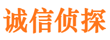 东城市侦探